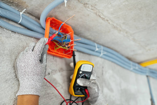 Best Electric Panel Repair  in Lexington, IL